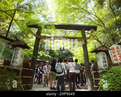 Kyoto, MAI 2 2011 - Sonnenansicht des Nonomiya Shrine Stockfoto