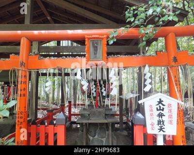 Kyoto, MAI 2 2011 - Sonnenansicht des Nonomiya Shrine Stockfoto