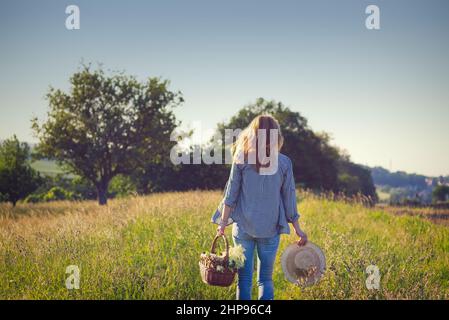 Frau mit Strohhut und Weidenkorb geht in der Natur spazieren und erntet im Sommer Blumen für die alternative Medizin Stockfoto