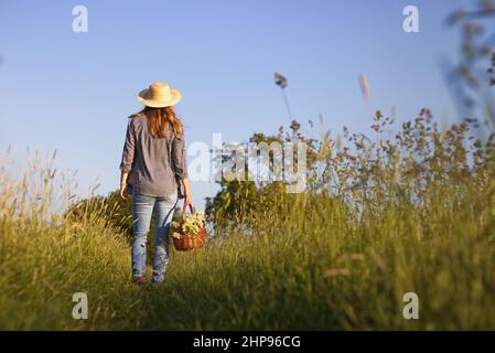 Frau mit Strohhut hält Weidenkorb und steht auf der Wiese. Holunderbeeren ernten. Frau sammelt Blumen für alternative Medizin, Freude Stockfoto