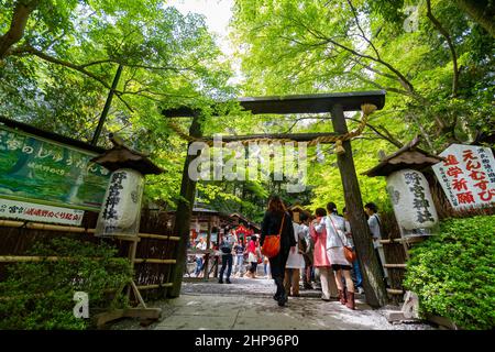 Kyoto, MAI 2 2011 - Sonnenansicht des Nonomiya Shrine Stockfoto