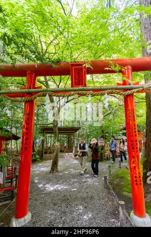 Kyoto, MAI 2 2011 - Sonnenansicht des Nonomiya Shrine Stockfoto