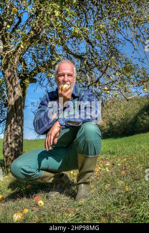 Ein Bauer kniet an einem schönen, sonnigen Herbsttag unter seinem Apfelbaum und isst einen seiner Bio-Äpfel. Stockfoto