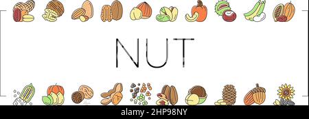 Nut Delicious Natural Nutrition Icons Set Vector . Stock Vektor