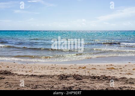 Hollywood Beach im Norden von Miami, Florida mit Sandküstenlandschaft und dunklem, schmutzigem Atlantischen Ozeanwasser an einem sonnigen Tag blauer Himmel im Sommer mit viel Floa Stockfoto