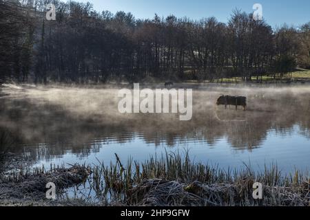 Lac du Causse en hiver Stockfoto