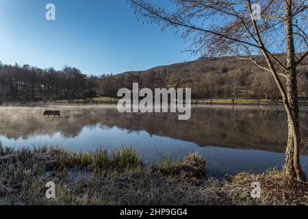 Lac du Causse en hiver Stockfoto