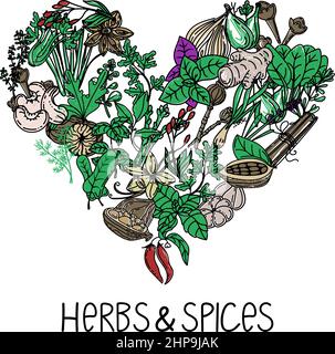 Handgezeichnete Kräuter und Gewürze im Doodle-Stil. Herzförmige Elemente. Handgeschriebene Schriftzüge. Nüsse, Gewürze und Kräuter. Pfeffern Sie Erbsen. Vektor mit flachem Stil Stock Vektor