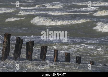 Le Port du Hourdel à marée Haute et ses bateaux amarrés. Le phare et la baie de Somme Stockfoto