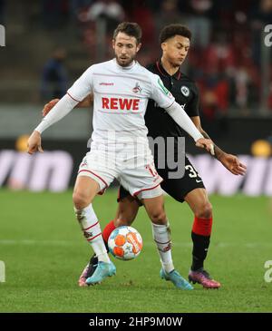 Köln, Deutschland. 19th. Februar 2022. Bundesliga, Spieltag 23, 1. FC Köln - Eintracht Frankfurt, Mark Uth (Köln), Tuta (Frankfurt) kämpfen um den Ball. Quelle: Jürgen Schwarz/Alamy Live News Stockfoto