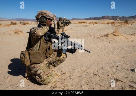 Soldaten der Vereinigten Arabischen Emirate mit 3rd Kompanie, 1st Bataillon, Al Forsan Brigade, Presidential Guard, laden ihre Gewehre, bevor sie eine unterstützte Truppenattacke im Marine Corps Air Ground Combat Center, Twentynine Palms, Kalifornien, am 12. Oktober 2021 beginnen. Das U.S. Marine Corps und die VAE-PG pflegen durch fortwährende bilaterale Ausbildungsverpflichtungen und -Programme eine enge Beziehung, um die Fähigkeit der anderen zu verbessern, Terrorismusbekämpfungsoperationen durchzuführen, kritische Infrastrukturen zu schützen und die nationale Verteidigung zu unterstützen. (USA Marine Corps Foto von Lance CPL. Joshua Sechser) Stockfoto