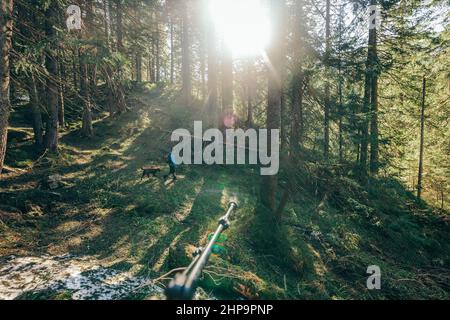 Ein Zug fährt den Zug hinunter und fährt in der Nähe eines Waldes Stockfoto