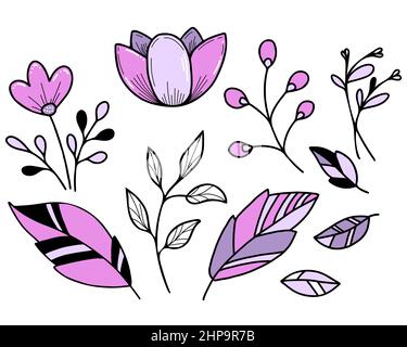 Botanischer Satz. Blumen und Blätter, Lotus und Pflanzenzweig. Vektorgrafik. Isolierte Handzeichnungen auf weißem Hintergrund Stock Vektor