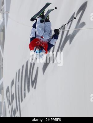 Peking, Hebei, China. 19th. Februar 2022. Alex Ferreira (USA) beim Halbpipe-Finale der Ski-Freestyle-Herren während der Olympischen Winterspiele 2022 in Peking im Genting Snow Park. (Bild: © David G. McIntyre/ZUMA Press Wire) Stockfoto