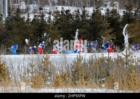 Peking, Hebei, China. 19th. Februar 2022. Die Teilnehmer des Herren-Langlaufs 50km Freestyle während der Olympischen Winterspiele 2022 in Peking im Zhangjiakou Cross-Country Center. (Bild: © David G. McIntyre/ZUMA Press Wire) Stockfoto