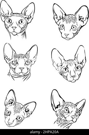 Bild einer Katze, Sphynx-Katze, Porträt, Illustration, Set, Weiß, schwarz, isoliert, einfach, Symbol, Kunst, Symbol, Grafik, Zeichnung Stock Vektor