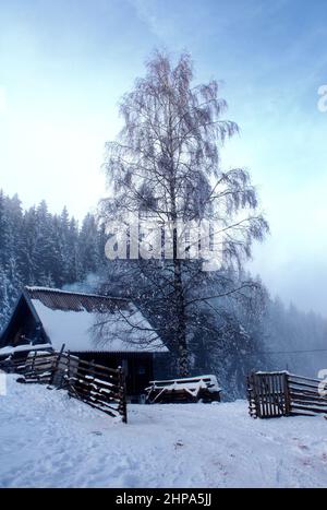 Ländliches Haus auf einem verschneiten Berg, umgeben von Bäumen Stockfoto