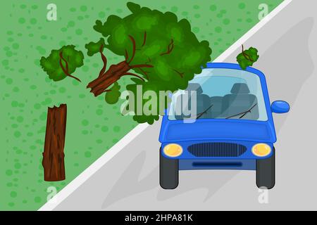 Zerbrochener Baum fiel auf das Auto. Baum taumelte auf blauem Auto. Auto durch gefallenen Baum beschädigt. Versicherung für Naturkatastrophen. Verkehrsunfall. Vektorgrafik Stock Vektor