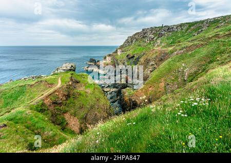 Blick von einer mit Blumen bedeckten Klippe, UNESCO-Weltkulturerbe, an einem ruhigen Sommertag an der dramatischen Küste Nordkorniens, einem beliebten Urlaub des National Trust Stockfoto