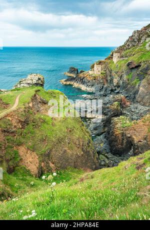 Blick von einer mit Blumen bedeckten Klippe, UNESCO-Weltkulturerbe, an einem ruhigen Sommertag an der dramatischen Küste Nordkorniens, einem beliebten Urlaub des National Trust Stockfoto