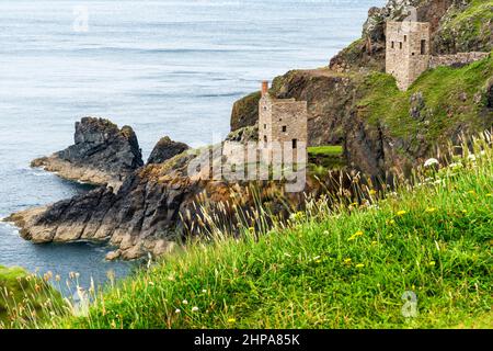 Blick von einer mit Blumen bedeckten Klippe, UNESCO-Weltkulturerbe, an einem ruhigen Sommertag an der dramatischen Küste Nordkorniens, einem beliebten Urlaub des National Trust Stockfoto