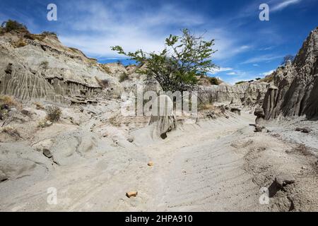 Schöne Aussicht auf eine Tatacoa-Wüste in Kolumbien Stockfoto