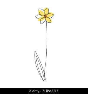 Daffodil Blume in kontinuierlichen Linie Zeichnung Stil. Schwarze Linienzeichnung auf weißem Hintergrund. Vektorgrafik Stock Vektor