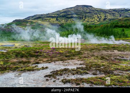 Blick auf die dampfende Fumarole auf dem Feld im geothermischen Gebiet Haukadalur im Südwesten Islands. Stockfoto