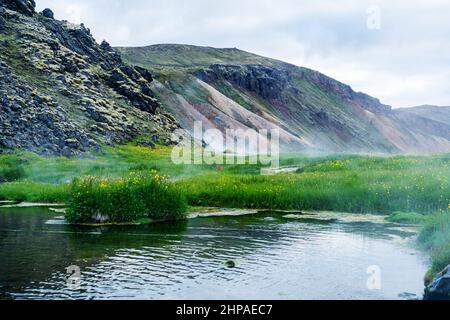 Blick auf die Berglandschaft mit Blumen und Geothermie bei Landmannalaugar im Hochland, Island Stockfoto