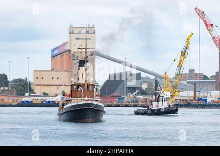 Der kohlebefeuerte Dampfschlepper Waratah aus dem Jahr 1902 macht seinen Weg von seiner Heimat mit der Sydney Heritage Fleet in Roselle Bay nach Pyrmont im Hafen von Sydney Stockfoto