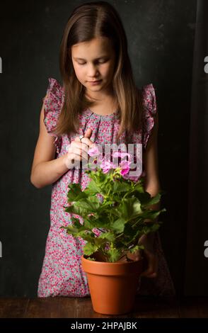 Schönes kleines Mädchen mit königlichem Pelargonium in den Händen Stockfoto