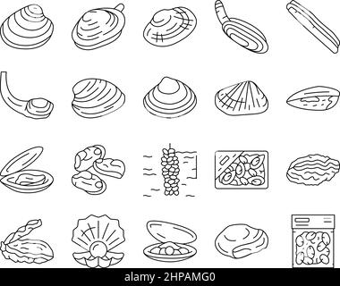 Clam Marine Sea Farm Ernährung Symbole Set Vektor. Stock Vektor