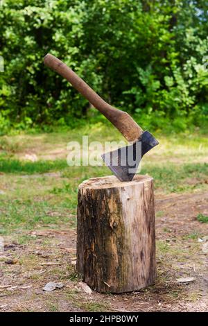 Altes Beil in einem Baumstamm im Wald Stockfoto