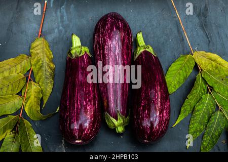 Drei violette Auberginen mit Blatt auf blauem Hintergrund. Stockfoto