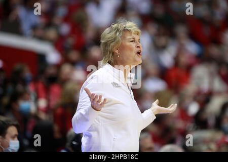 Bloomington, Usa. 19th. Februar 2022. Iowa-Trainerin Lisa Bluder trainiert während eines NCAA-Basketballspiels für Frauen in Bloomington, Ind. Gegen die Indiana University Hoosiers schlugen die Iowa Hawkeys 96-91. Kredit: SOPA Images Limited/Alamy Live Nachrichten Stockfoto