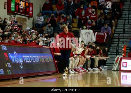 Bloomington, Usa. 19th. Februar 2022. Teri Moren, Trainerin der Indiana University, trainiert während eines NCAA-Basketballspiels für Frauen in Bloomington, Ind., gegen Iowa Hawkeyes und gegen die Indiana University Hoosiers 96-91. Kredit: SOPA Images Limited/Alamy Live Nachrichten Stockfoto