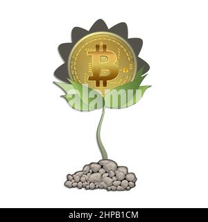 Bitcoin Goldmünze als wachsende Sonnenblumenkeimling Pflanze, isoliert auf einem weißen Hintergrund Vektor Stock Vektor