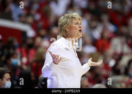 Bloomington, Usa. 19th. Februar 2022. Iowa-Trainerin Lisa Bluder trainiert während eines NCAA-Basketballspiels für Frauen in Bloomington, Ind. Gegen die Indiana University Hoosiers schlugen die Iowa Hawkeys 96-91. (Foto von Jeremy Hogan/SOPA Images/Sipa USA) Quelle: SIPA USA/Alamy Live News Stockfoto