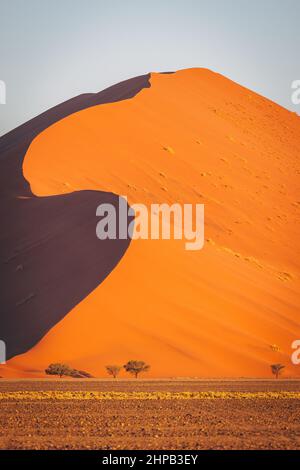 Düne 45 in der Namib Naukluft Wüste bei Sonnenaufgang, Namibia, Südafrika Stockfoto