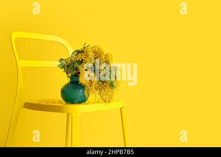 Vase mit Mimosenblumen auf Stuhl in der Nähe der gelben Wand Stockfoto