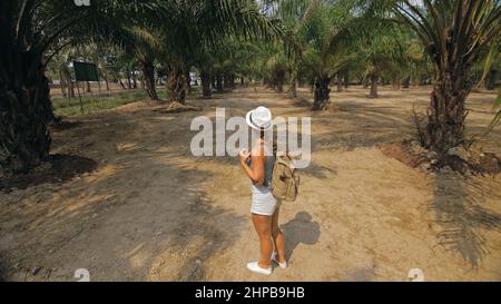 Frau Tourist mit Zopf geht herum auf wachsende junge Bäume mit üppigen Blättern auf Ölpalmenfarm elaeis guineensis an sonnigen Tag. Konzept des exotischen Kulturanbaus, Reisen in tropische Länder Stockfoto