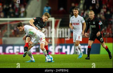 Mark Uth (Köln), Kristijan Jakic (FRA) 1. FC Köln - Eintracht Frankfurt 19.02.2022, Fussball, BundesligaSaison 2021 2022 Foto: Moritz Müller Copyrig Stockfoto