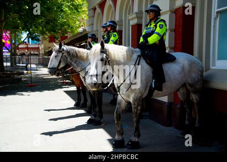 Perth, Australien - 20. November 2021: Polizei patrouilliert während der Freiheitsdemonstration gegen Impfmandate Stockfoto