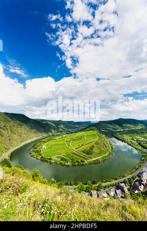 Blick auf eine flussbiegung der Mosel in der Eifelgemeinde Bremm in Deutschland im Sommer. Von den Weinbergen von Calmont aus gesehen, mit blauem Himmel. Stockfoto