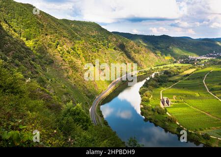 Blick auf eine flussbiegung der Mosel in der Nähe des Eifeldorfes Bremm in Deutschland im Sommer. Von den Weinbergen von Calmont mit der Klosterruine aus gesehen Stockfoto