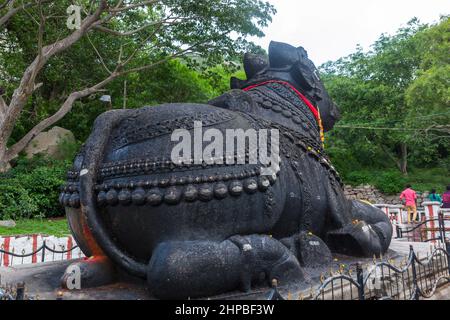 Rückprofil der 350 Jahre alten monolithischen Statue von Nandi (Stier), Chamundi Hill, Mysore, Indien. Südindischer Tempel, hinduistischer religiöser Ort. Mysore Stockfoto