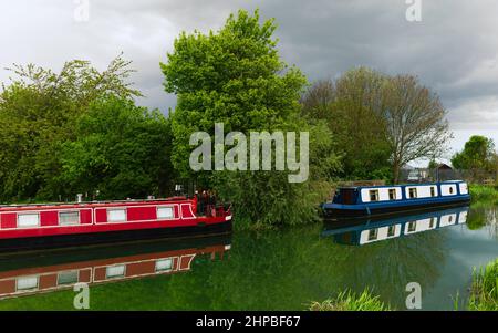 An einem schönen, ruhigen Frühlingsmorgen in Beverley, Yorkshire, Großbritannien, festmachen bunte Lastkähne entlang des Beck, Kanals, flankiert von Bäumen unter hellem, bewölktem Himmel. Stockfoto