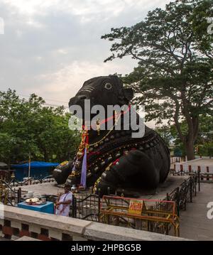 350 Jahre alte monolithische Statue von Nandi (Stier), Chamundi Hill, Mysore, Indien. Südindischer Tempel, hinduistischer religiöser Ort. Mysore Maharaja. Stockfoto