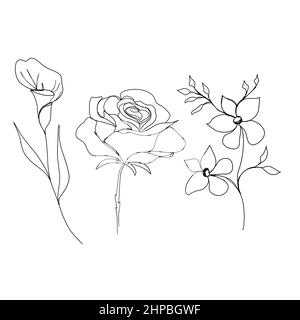 Linie Kunst Zeichnung von Blumen. Set Linie Kunst Set von Blumen. Minimalismus Skizze, Idee für die Einladung, Gestaltung von instagram Geschichten und Highlights Icons Stockfoto