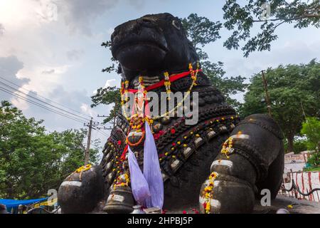 350 Jahre alte monolithische Statue von Nandi (Stier), Chamundi Hill, Mysore, Indien. Südindischer Tempel, hinduistischer religiöser Ort. Mysore Maharaja. Stockfoto